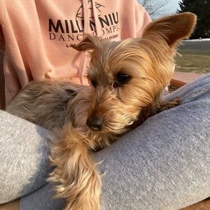 Meet your Posher, Skylar